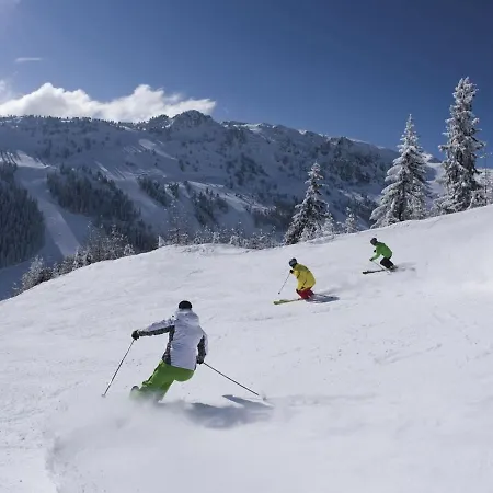 Inviting Near Ski Area In Schwendau * Mayrhofen